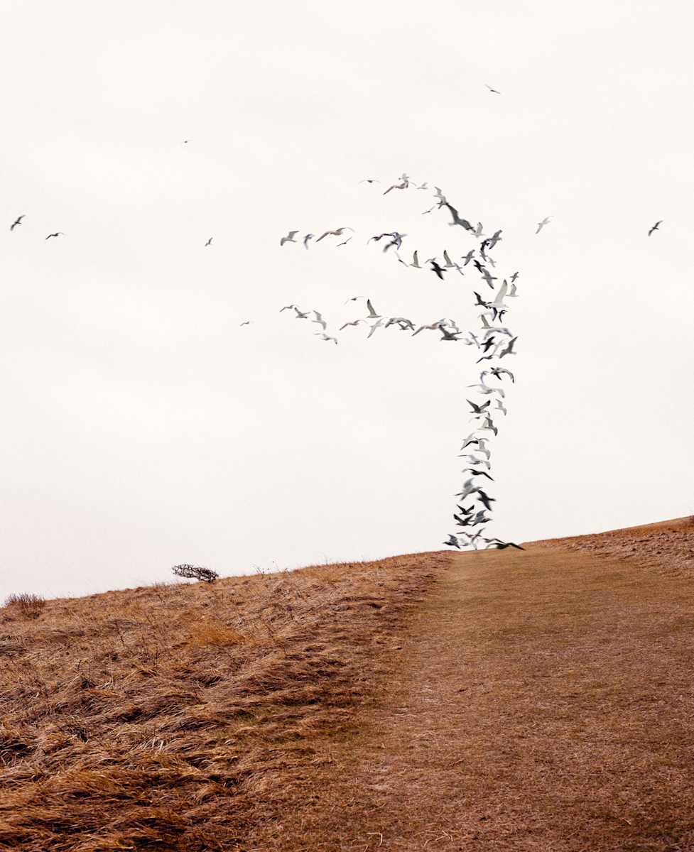 Fallen Leaves by Dasha Pears  Image: To exist is to change, to change is to mature, to mature is to go on creating oneself endlessly, even after it seems impossible.