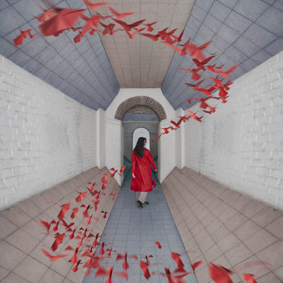 Follow Me by Dasha Pears 