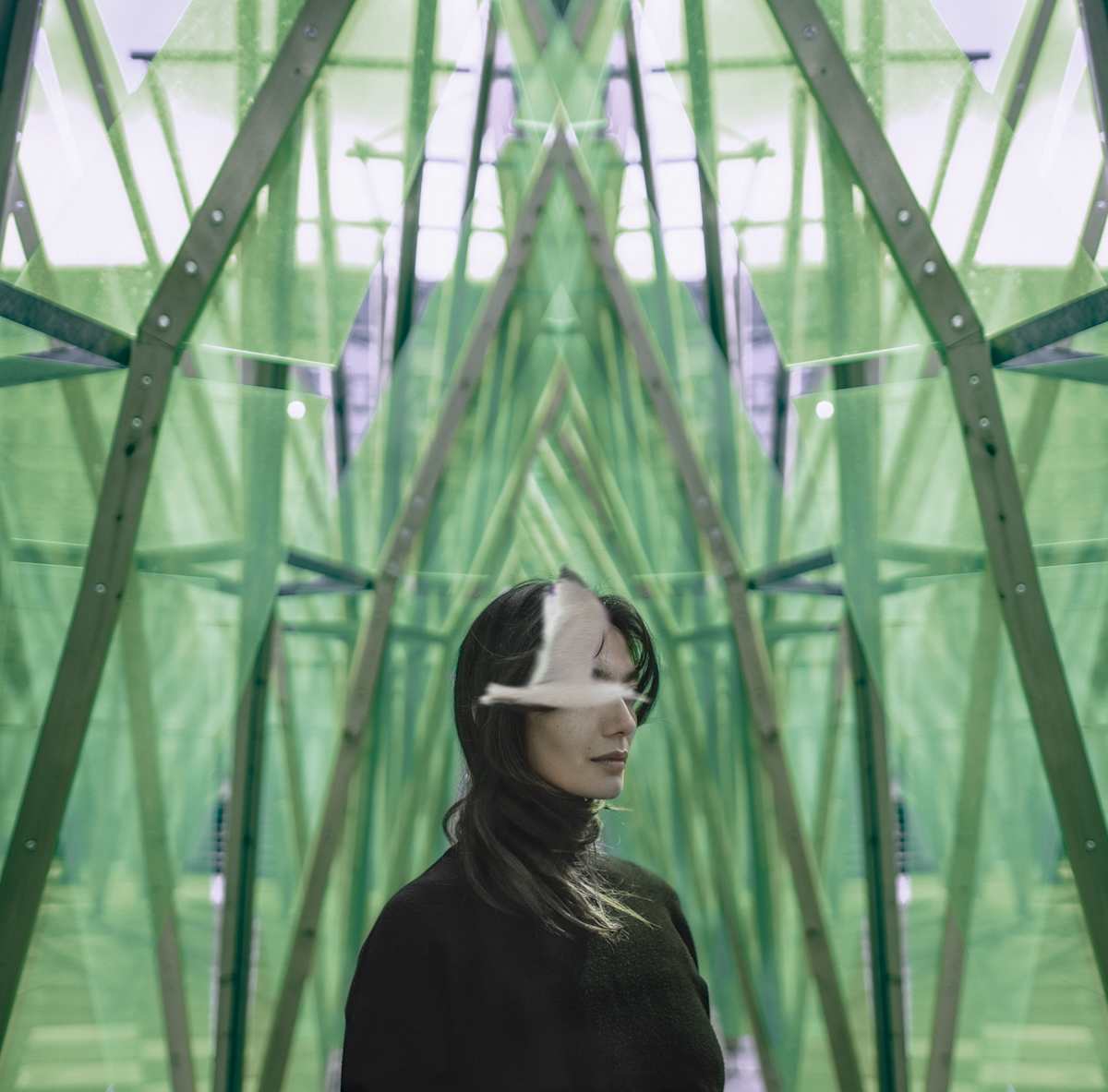 Glass Garden by Dasha Pears  Image: The clearer the walls, the harder they are to notice.