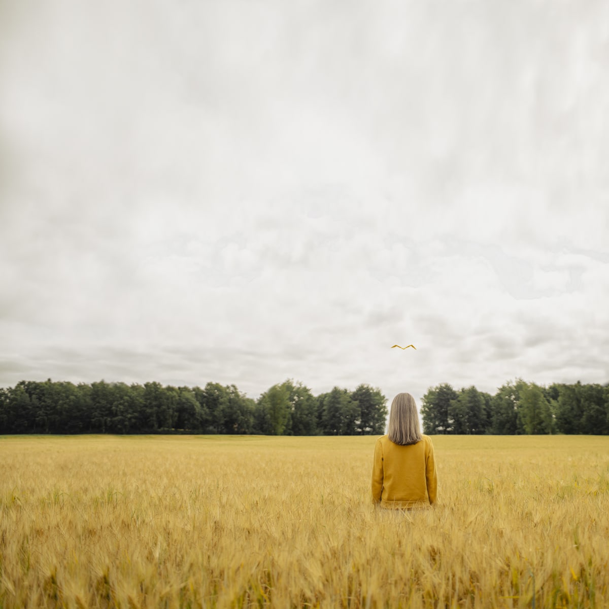 Golden Gates by Dasha Pears  Image: They are waiting for you, shiny and glorious. Do you have the courage to knock and enter?