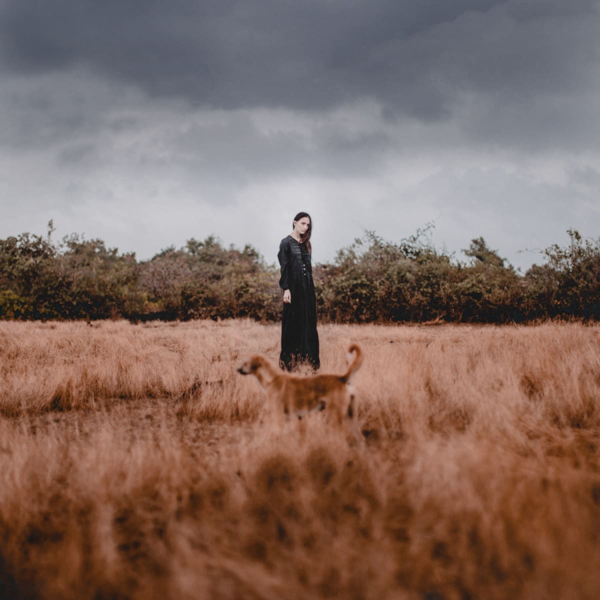 Two Souls by Dasha Pears 