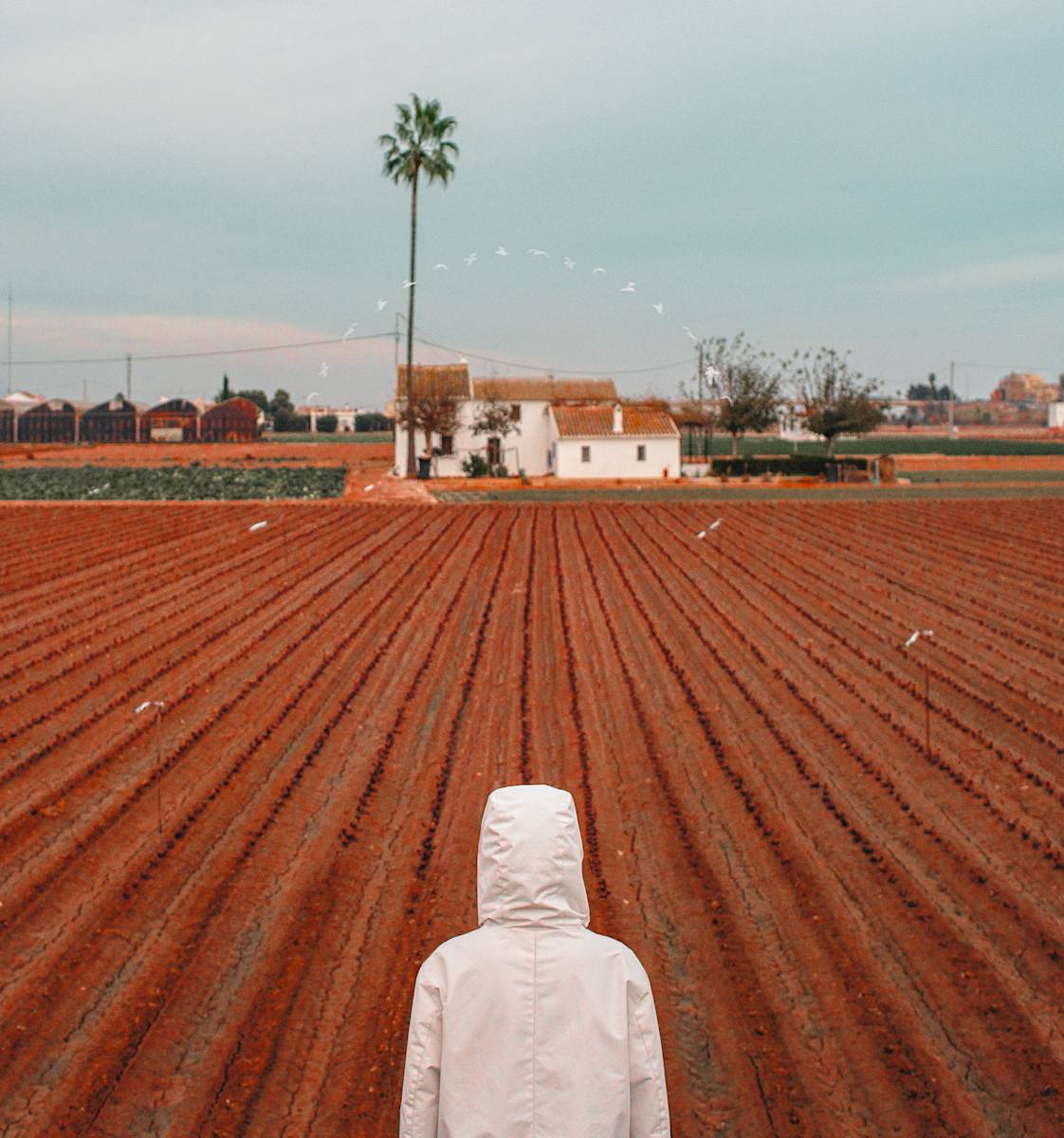 Leading Lines by Dasha Pears 