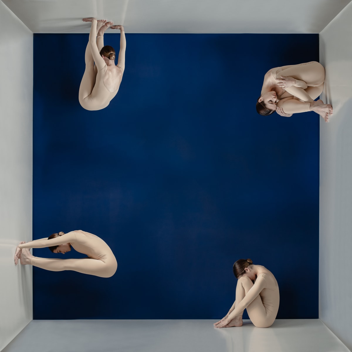 Looking For Solution by Dasha Pears, Image 1.