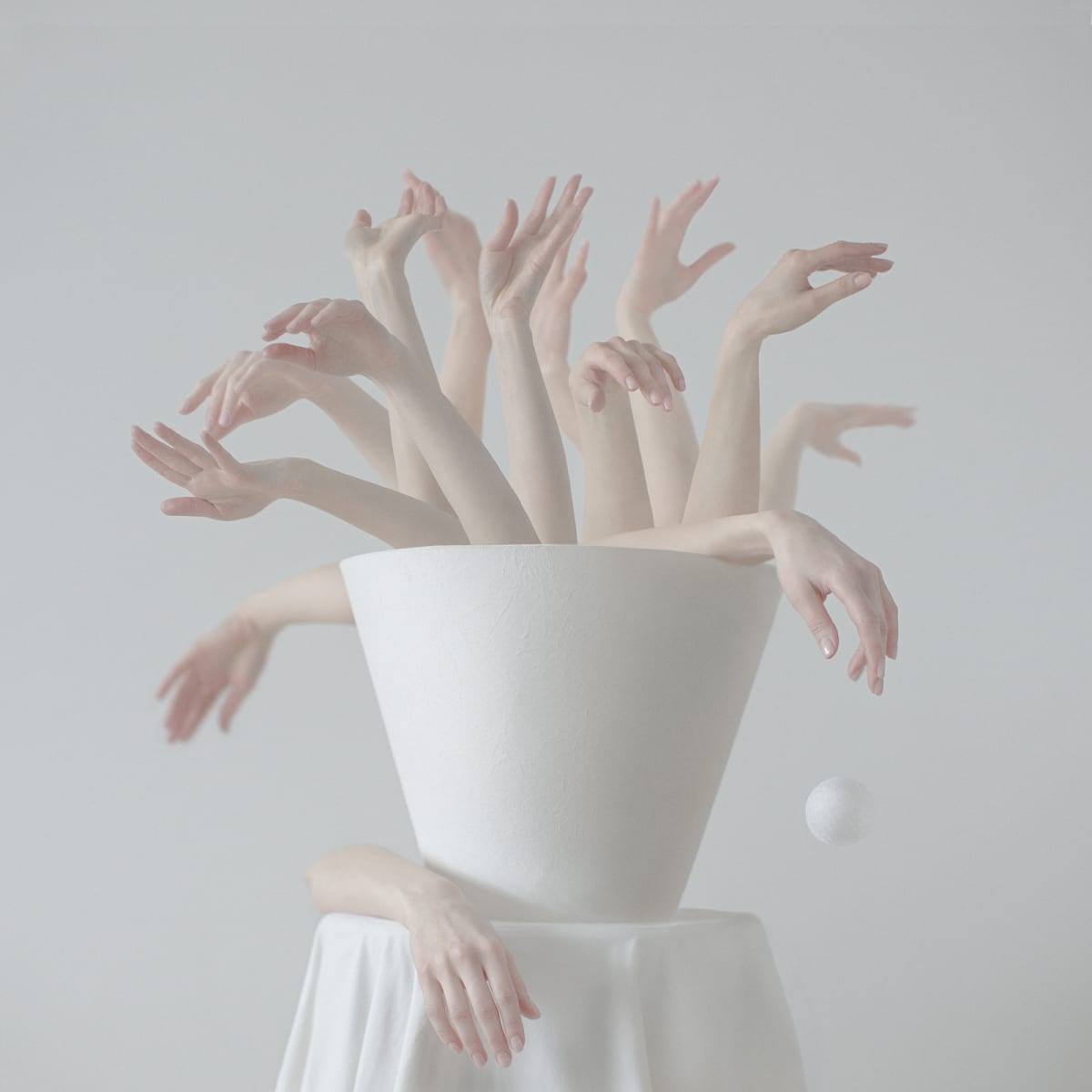 Flowers by Dasha Pears  Image: We are not as different from the rest of the natural world, as we often perceive ourselves to be.

"Flowers smile and laugh
each has a time of its own ~
seasons teach great truths."

- Christuraj Alex 