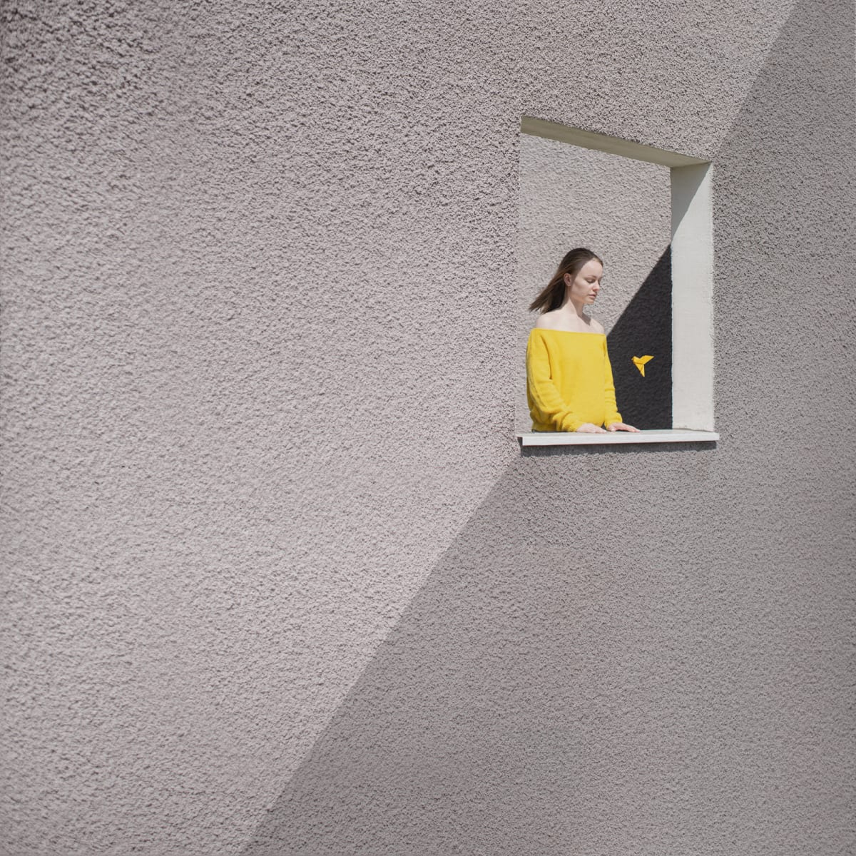 In the Shadow by Dasha Pears  Image: There's not enough light. Let me bring some in.