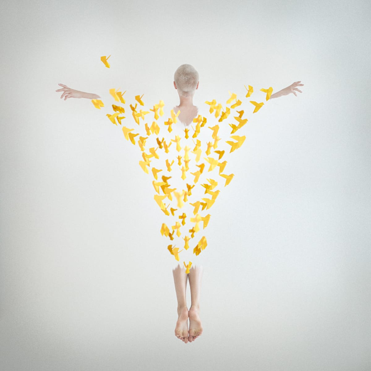 Rising by Dasha Pears  Image: The ancient myth of Icarus is both inspiring and tragic. It might be viewed as a perfect representation of duality in everything. Everything bright has a darker side and vice versa. The artwork took about a week of editing and two days of compound shooting. It's a "sister" artwork for "Doubt" from the same project and has been inspired and driven by the warm energy of long Scandinavian summer days and "white nights" when it almost doesn't get dark and the sun almost never sets.