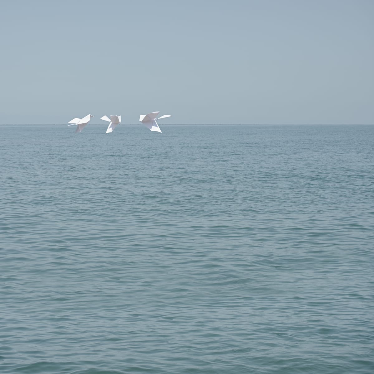 Flock by Dasha Pears, Image 1.