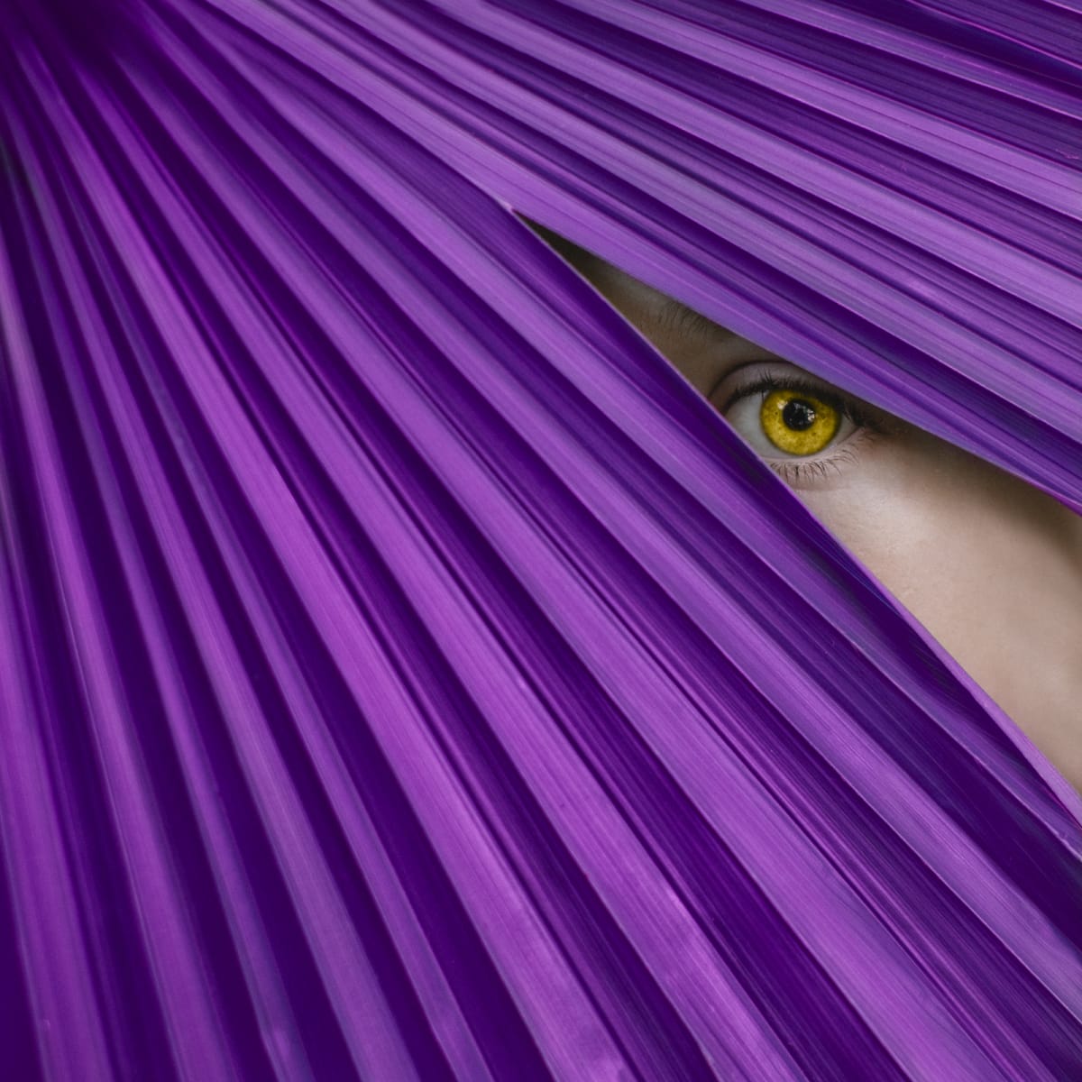 Purple & Yellow by Dasha Pears  Image: Unmute and live your life to the fullest. See what’s possible. Explore the variations and embrace what’s possible. And accept that everything is possible. Find what resonates with you and dive deep into that.

The ultimate joy of color and exploration of it hypnotizing combinations. Their depth, intensity, and power.