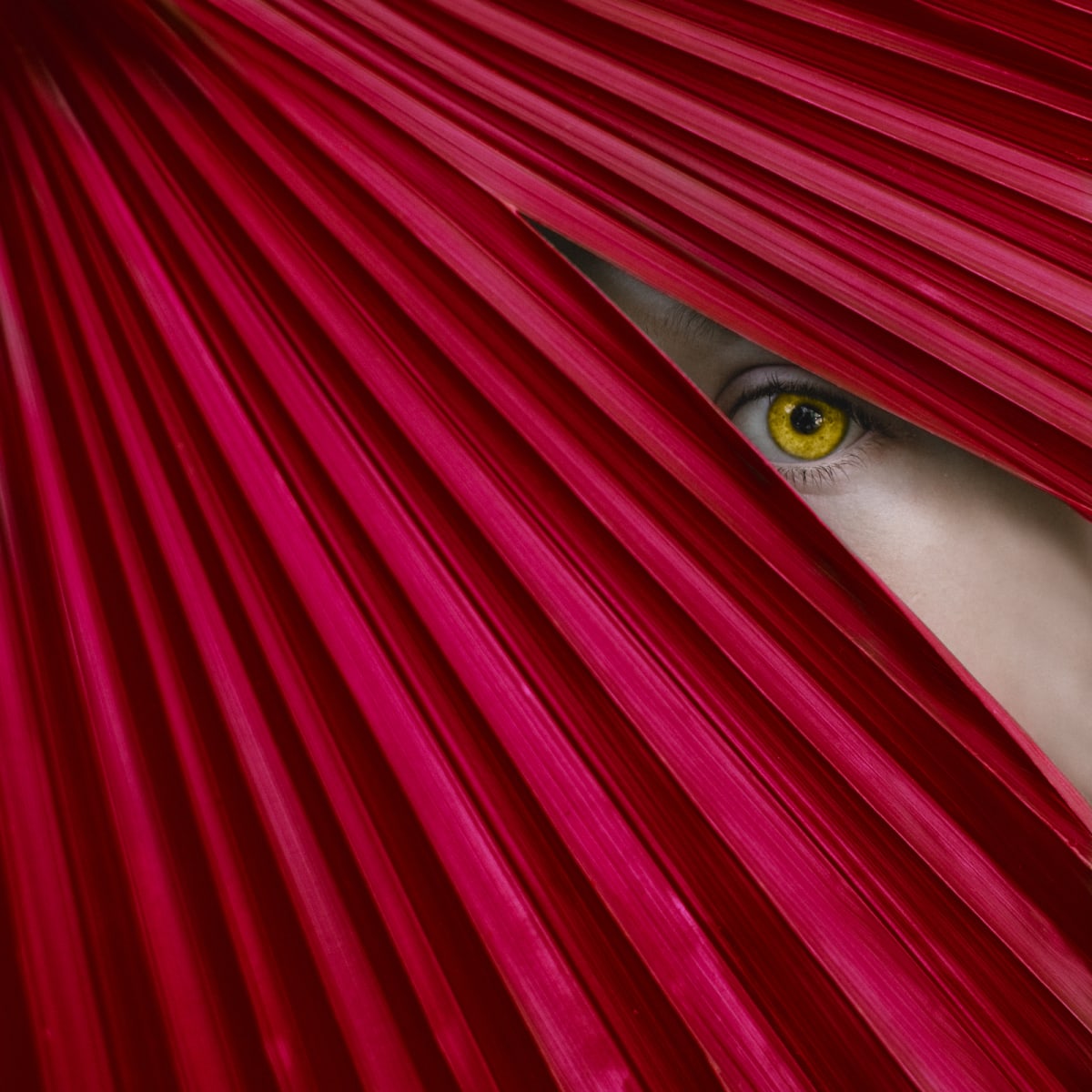 Red & Yellow by Dasha Pears  Image: Unmute and live your life to the fullest. See what’s possible. Explore the variations and embrace what’s possible. And accept that everything is possible. Find what resonates with you and dive deep into that.

The ultimate joy of color and exploration of it hypnotizing combinations. Their depth, intensity, and power.