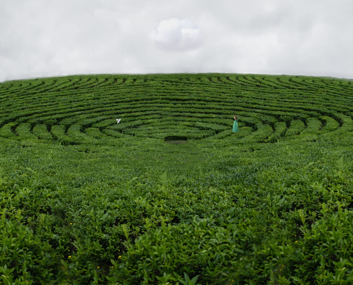 In the Arena by Dasha Pears, Image 1.