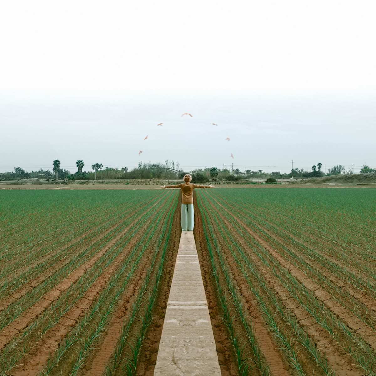 Where Threads Meet by Dasha Pears  Image: You don’t have to hold on to anything
to be connected to everything.

Some ties don’t pull—they hum.