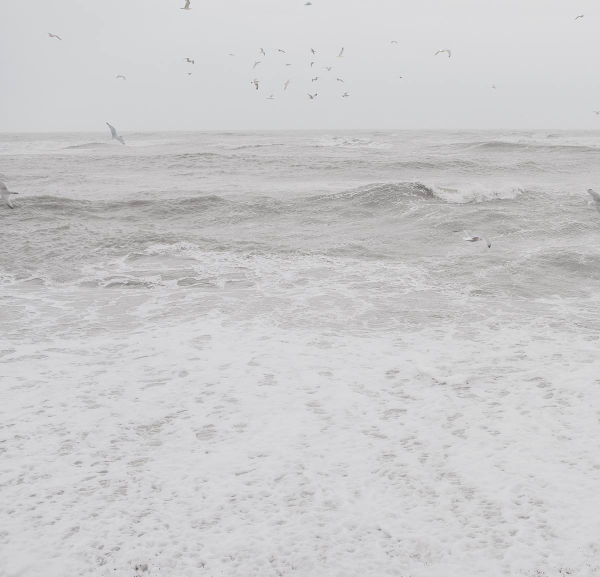 Ok by Dasha Pears  Image: Sometimes the universe speaks—but never in words we expect. The flocks gather for a second, sending messages that may or may not exist. Look up —and for a heartbeat, it feels like it was meant for you. Maybe it’s a sign. Maybe it’s just birds. Either way, your mind completes the sentence—and that’s where the magic begins.