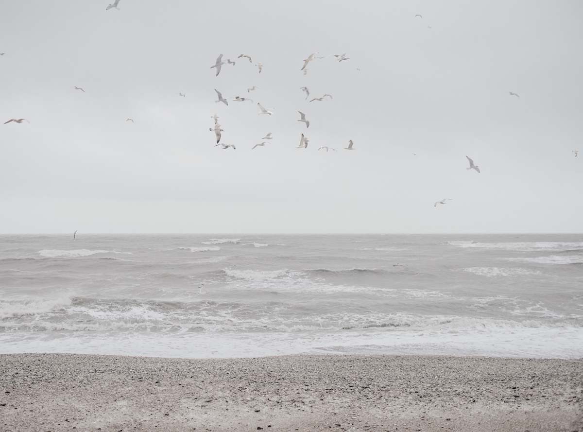 Be by Dasha Pears  Image: Sometimes the universe speaks—but never in words we expect. The flocks gather for a second, sending messages that may or may not exist. Look up —and for a heartbeat, it feels like it was meant for you. Maybe it’s a sign. Maybe it’s just birds. Either way, your mind completes the sentence—and that’s where the magic begins.