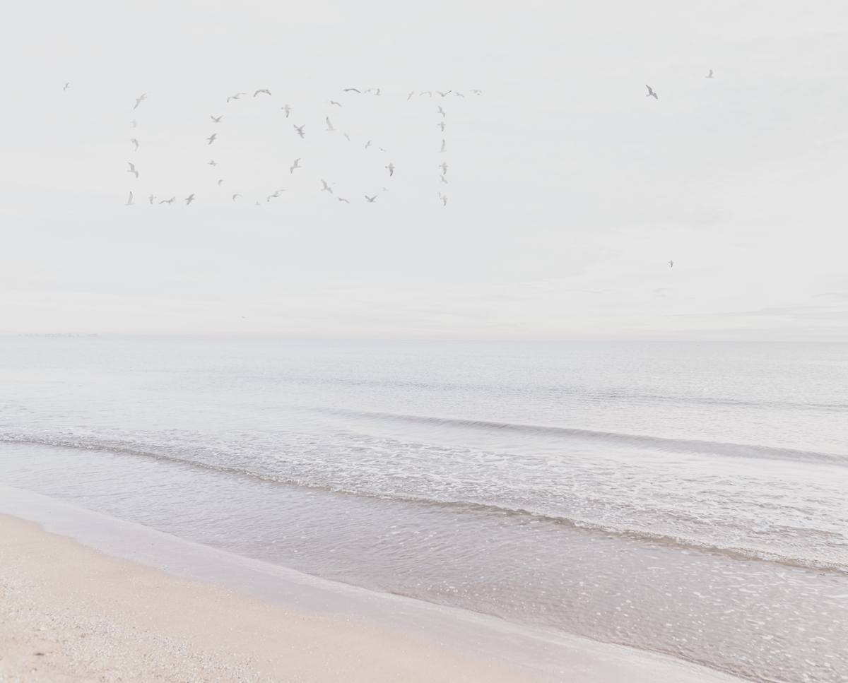 Lost by Dasha Pears  Image: Sometimes the universe speaks—but never in words we expect. The flocks gather for a second, sending messages that may or may not exist. Look up —and for a heartbeat, it feels like it was meant for you. Maybe it’s a sign. Maybe it’s just birds. Either way, your mind completes the sentence—and that’s where the magic begins.