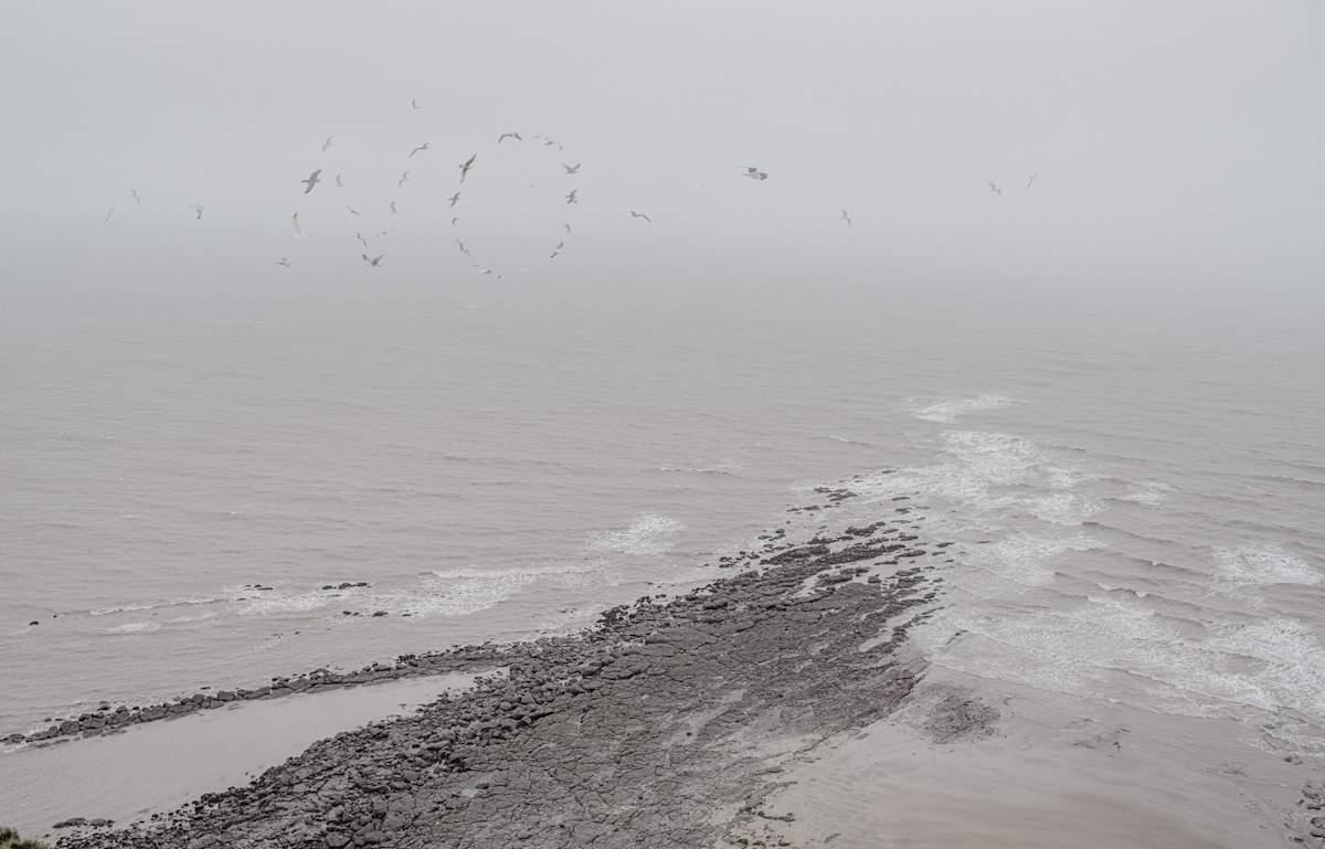 No by Dasha Pears  Image: Sometimes the universe speaks—but never in words we expect. The flocks gather for a second, sending messages that may or may not exist. Look up —and for a heartbeat, it feels like it was meant for you. Maybe it’s a sign. Maybe it’s just birds. Either way, your mind completes the sentence—and that’s where the magic begins.