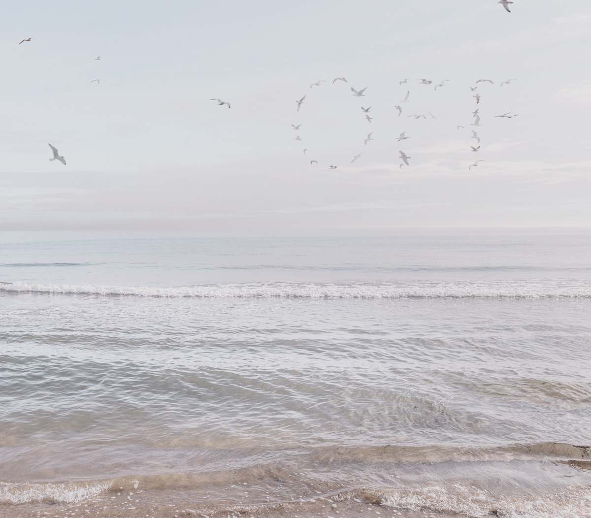 Off by Dasha Pears  Image: Sometimes the universe speaks—but never in words we expect. The flocks gather for a second, sending messages that may or may not exist. Look up —and for a heartbeat, it feels like it was meant for you. Maybe it’s a sign. Maybe it’s just birds. Either way, your mind completes the sentence—and that’s where the magic begins.