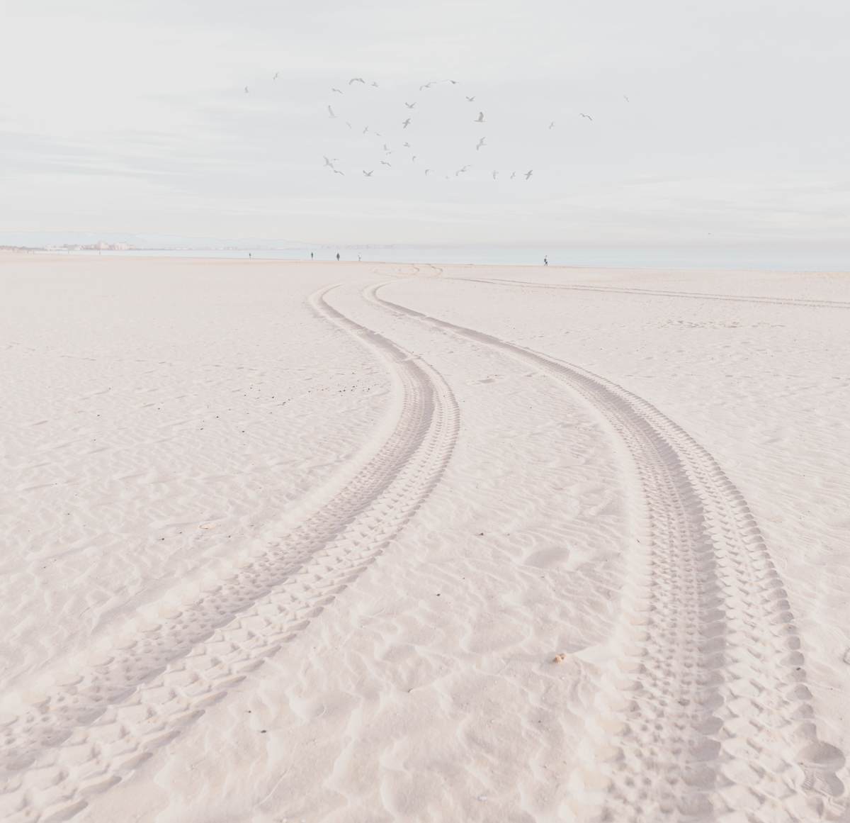 So by Dasha Pears  Image: Sometimes the universe speaks—but never in words we expect. The flocks gather for a second, sending messages that may or may not exist. Look up —and for a heartbeat, it feels like it was meant for you. Maybe it’s a sign. Maybe it’s just birds. Either way, your mind completes the sentence—and that’s where the magic begins.