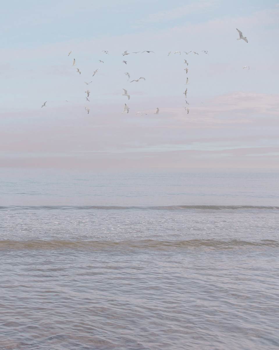 Yet by Dasha Pears  Image: Sometimes the universe speaks—but never in words we expect. The flocks gather for a second, sending messages that may or may not exist. Look up —and for a heartbeat, it feels like it was meant for you. Maybe it’s a sign. Maybe it’s just birds. Either way, your mind completes the sentence—and that’s where the magic begins.