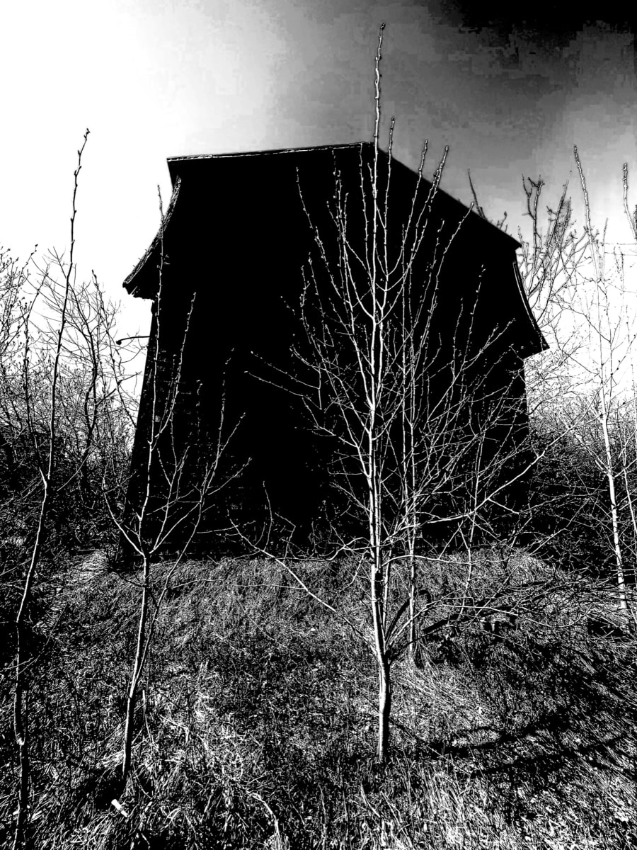 Dark Side (Nature Will Survive)  Image: May 10, 2022