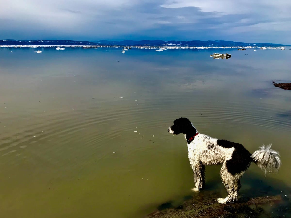 Mia Floating  Image: March 26, 2020
