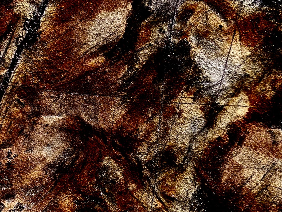 COULEURS D'AUTOMNE, no 6  Image: Sept 17, 2022