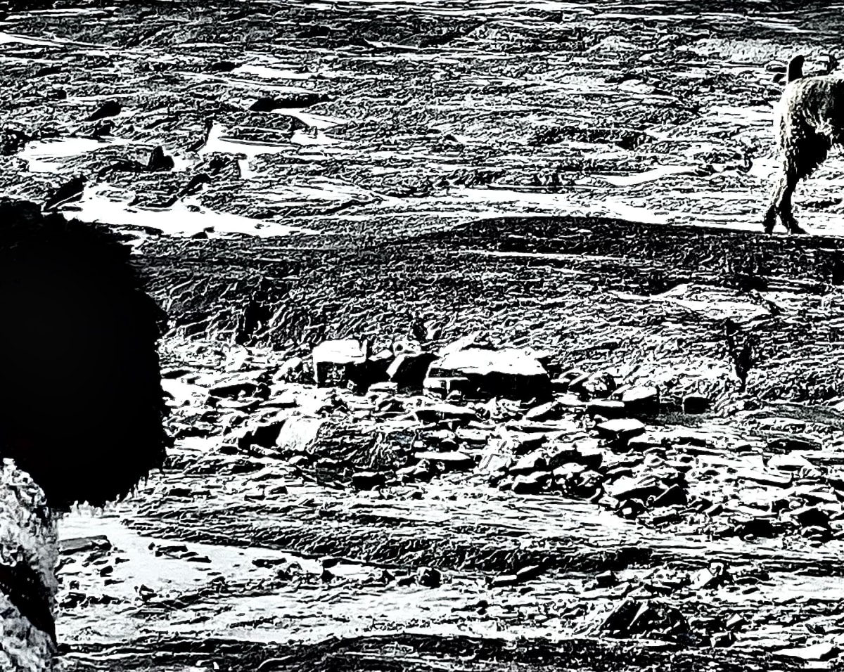 Mia & Bill  Image: March 31, 2021