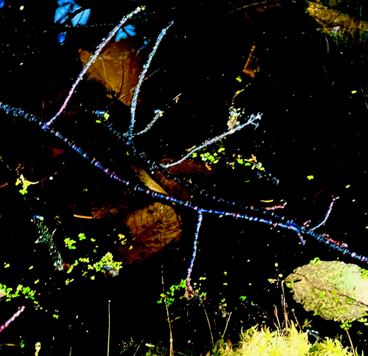 Revival by GAGNE  Image: Oct. 18, 2022