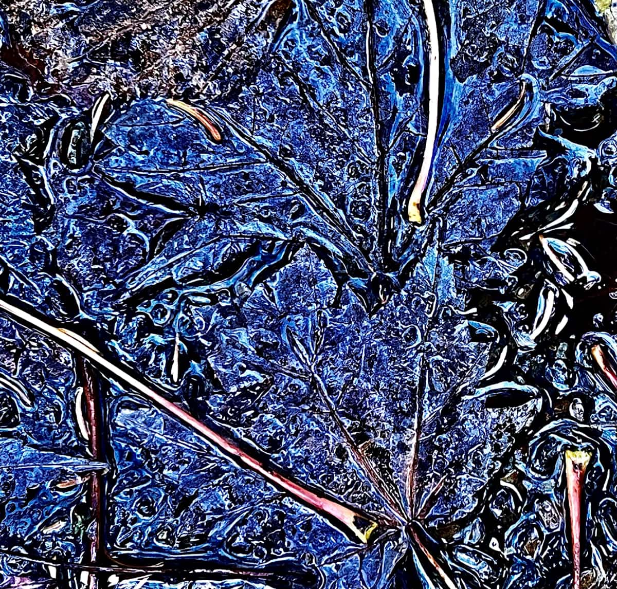 Fond bleu / Blue Background by GAGNE  Image: Oct 18, 2022