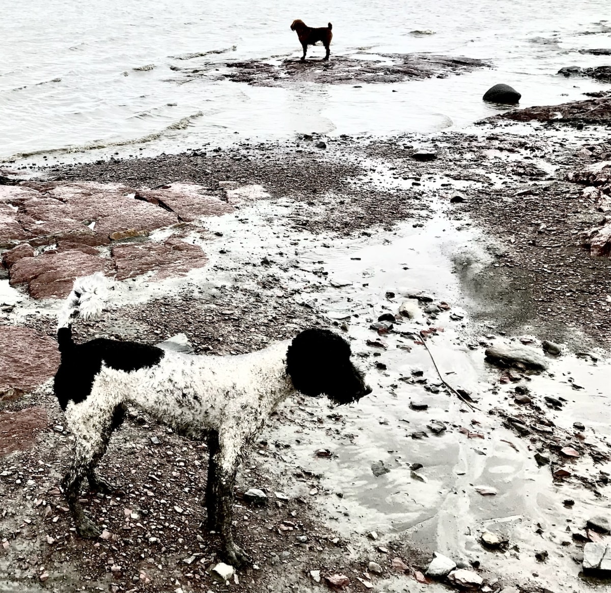 Mia & Bill III by GAGNE  Image: April 19, 2019