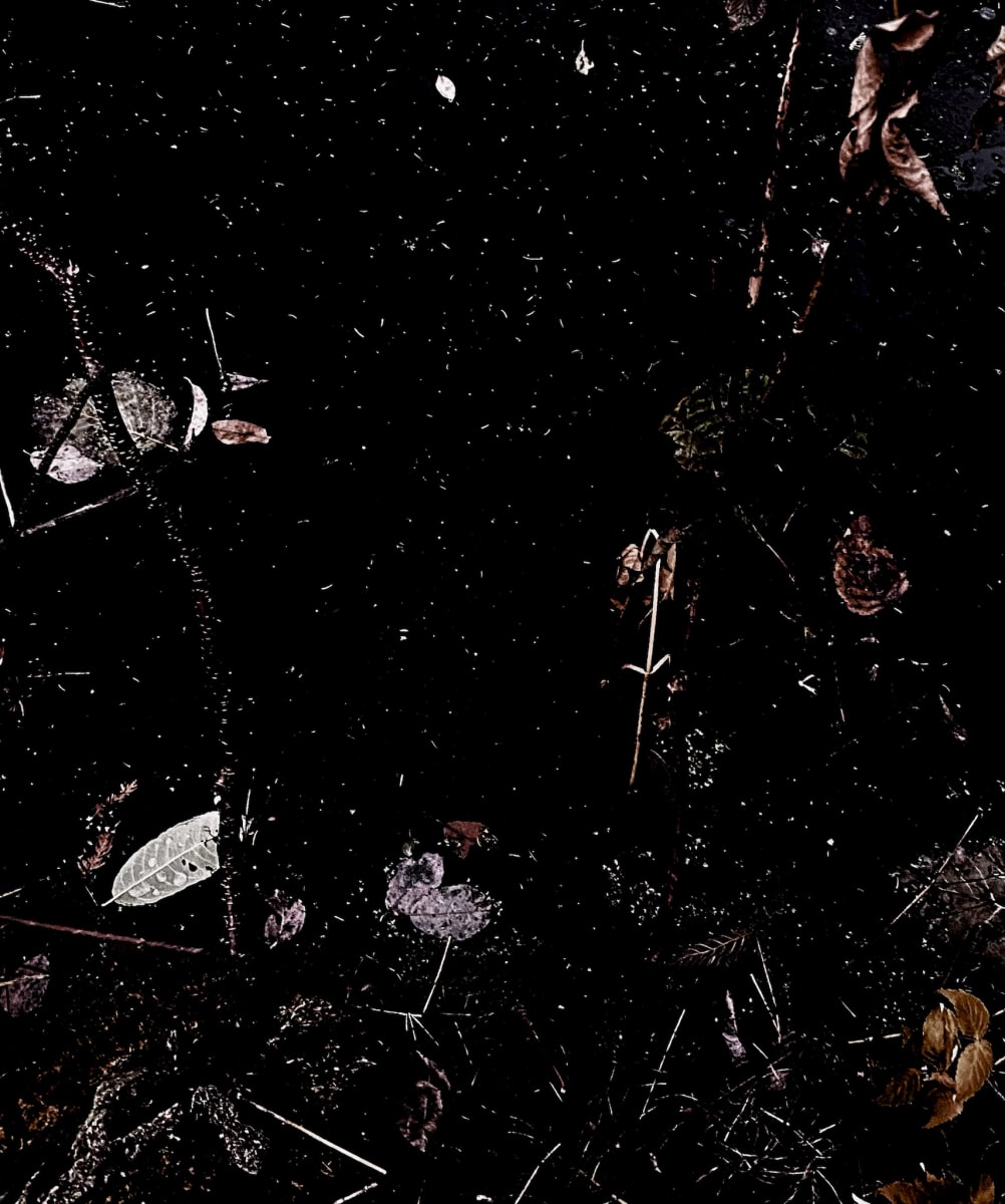 Floating  Image: November 3, 2020