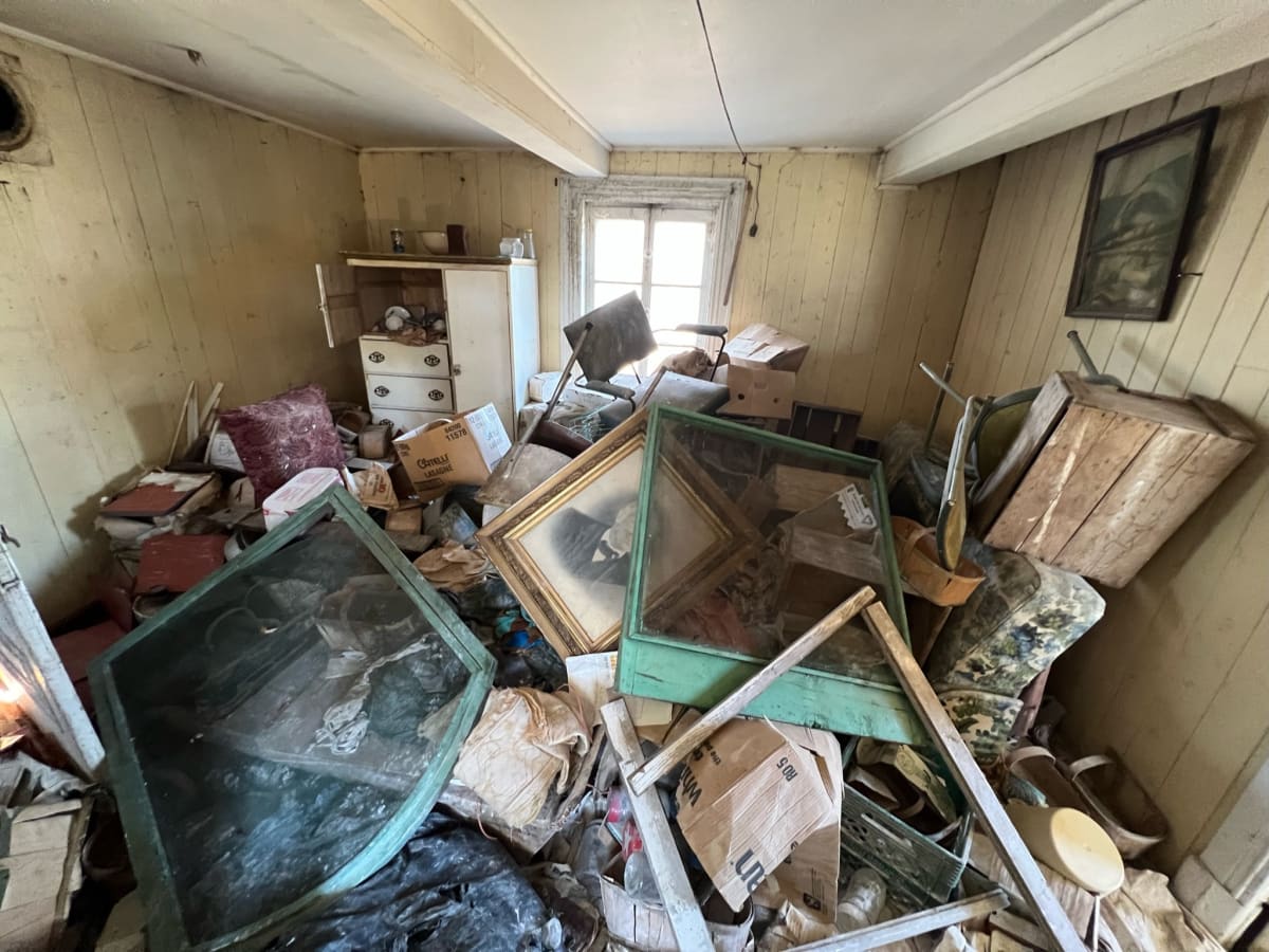 Living Room  Image: May 10, 2022