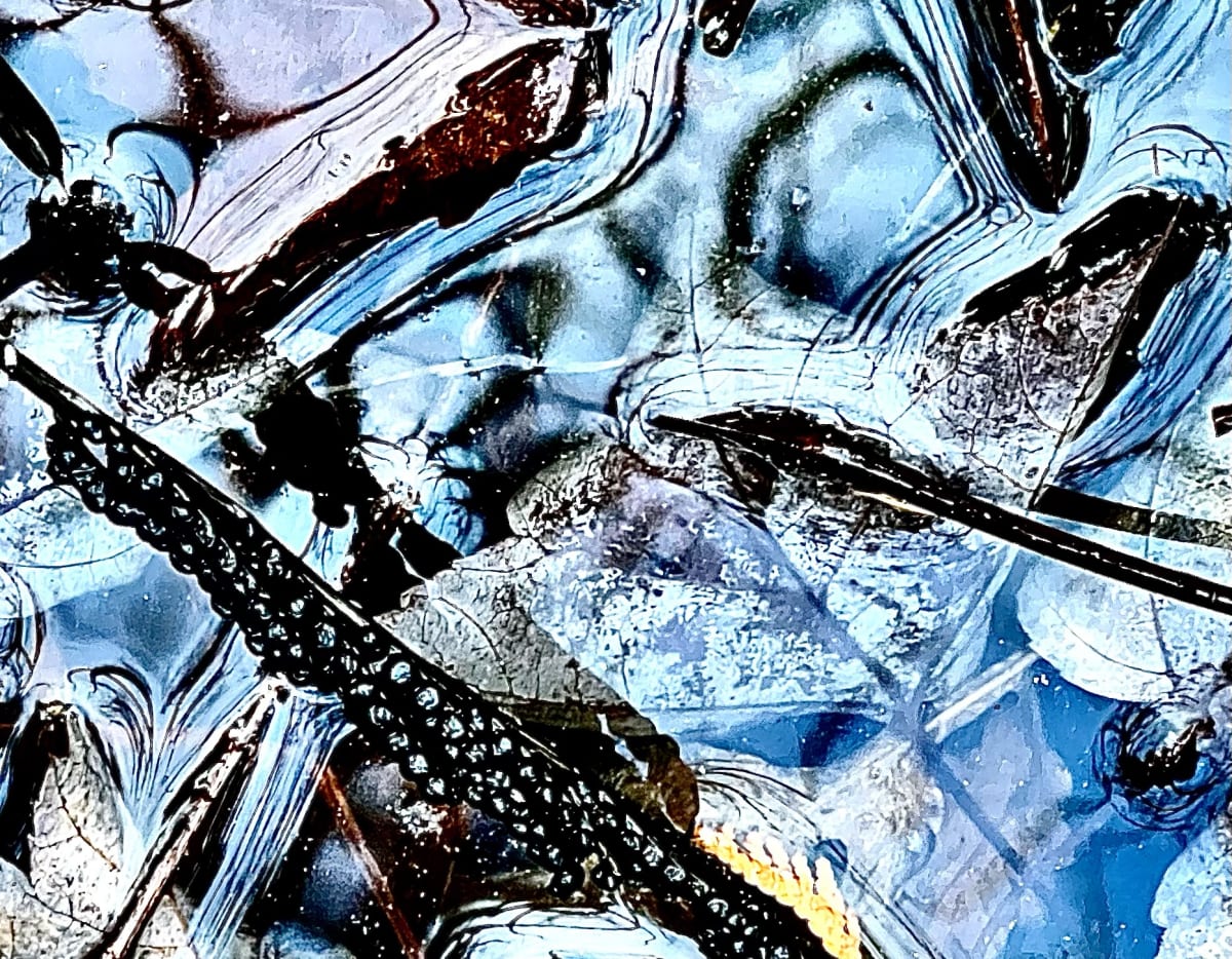 Sous nos yeux / At Sight  Image: Oct 18, 2022