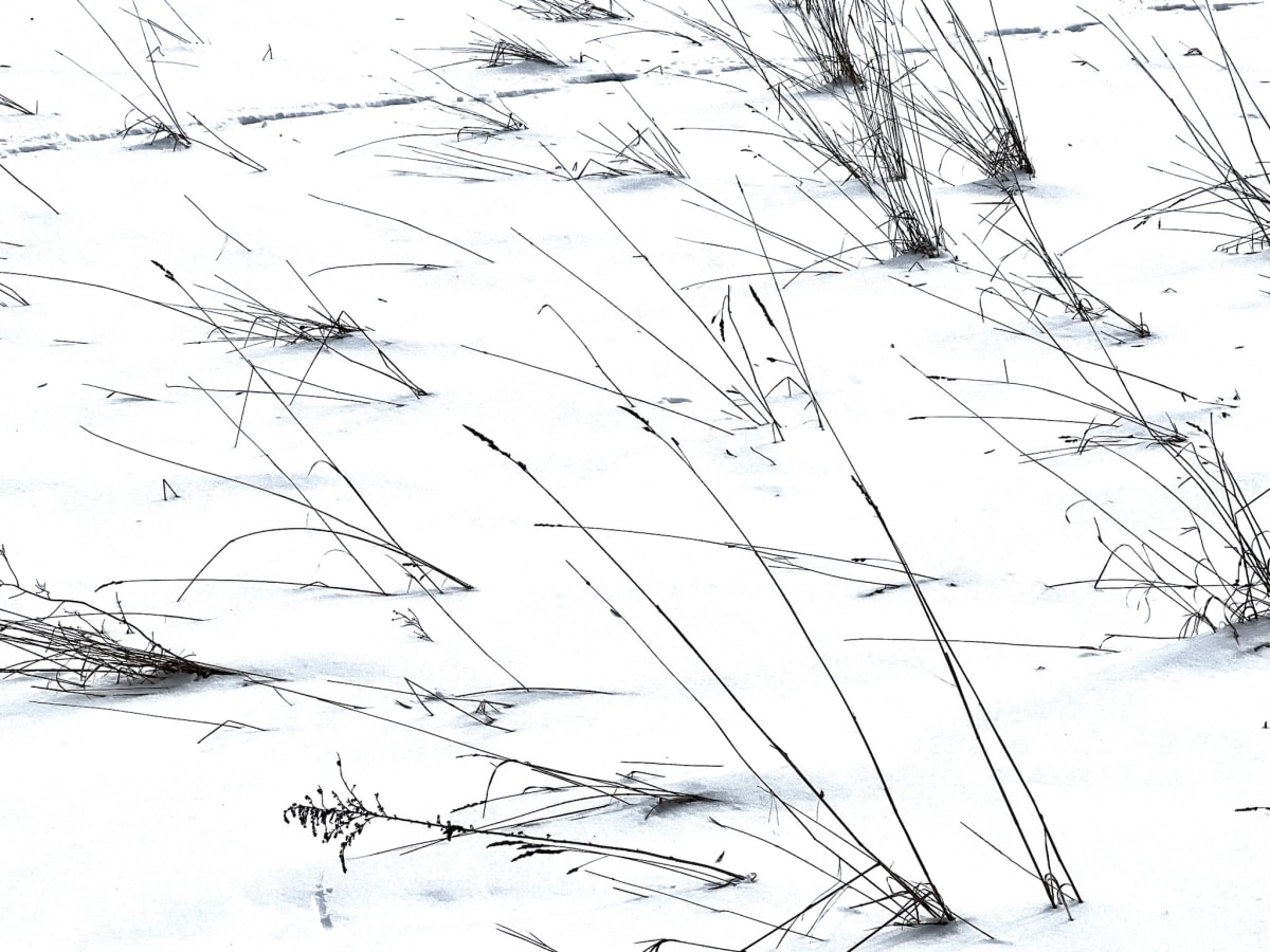 Winter Life by GAGNE  Image: January 25, 2023