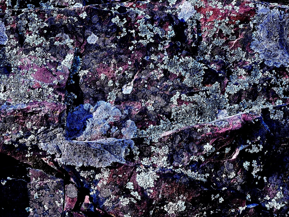 COULEURS D'AUTOMNE, no 3  Image: Sept 17, 2022