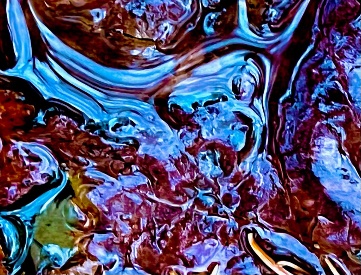 Nature donnée / Given Nature  Image: Oct 18, 2022