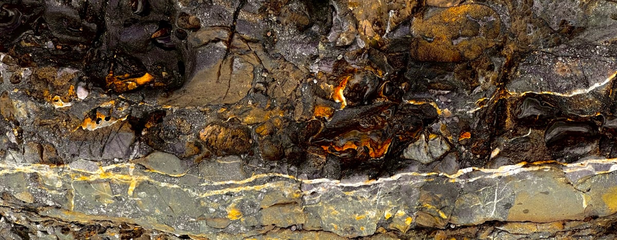 Bisons/Bulls by GAGNE  Image: July 25, 2022