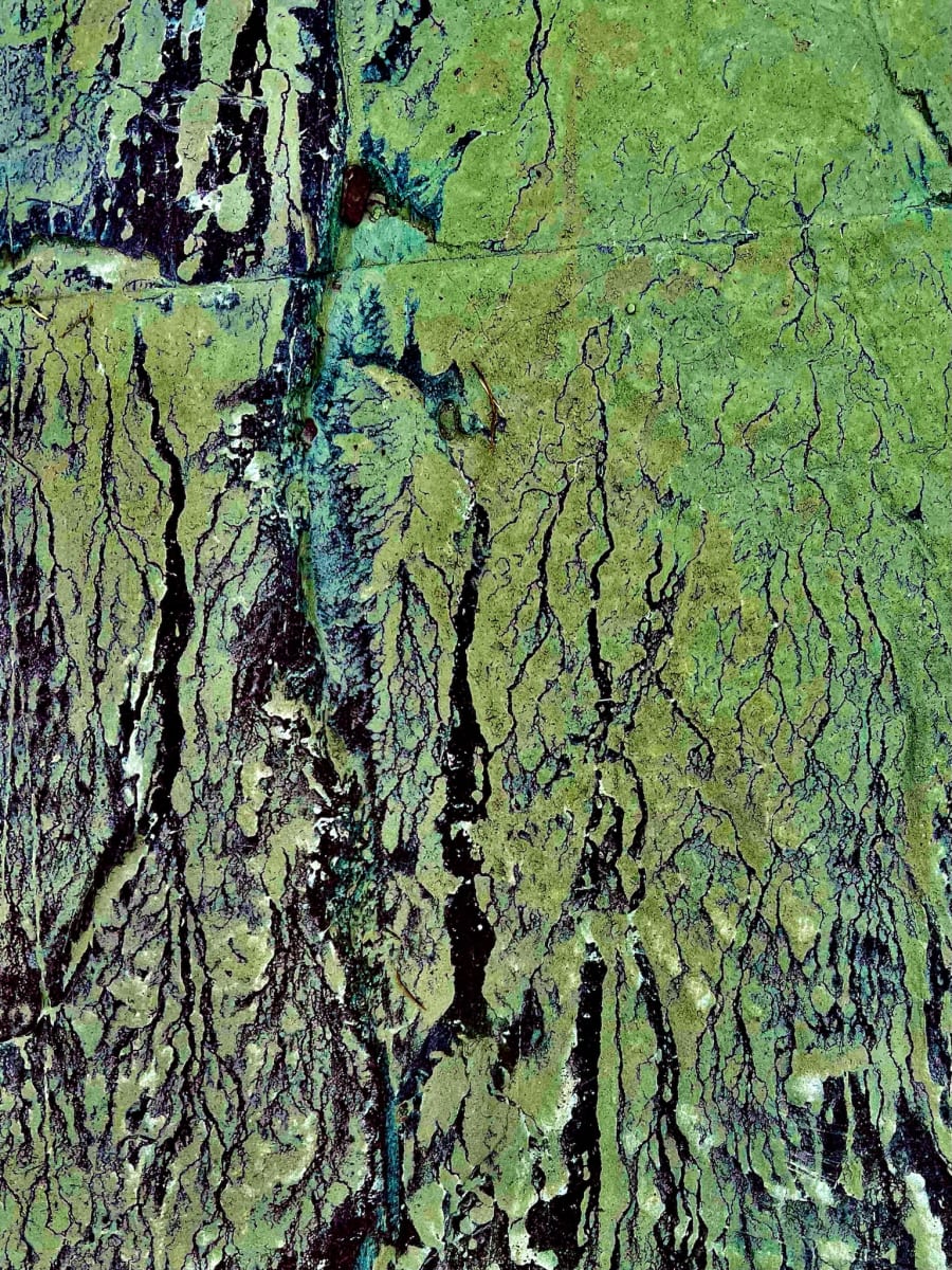 ABSTRACT 12  Image: AUGUST 9, 2022