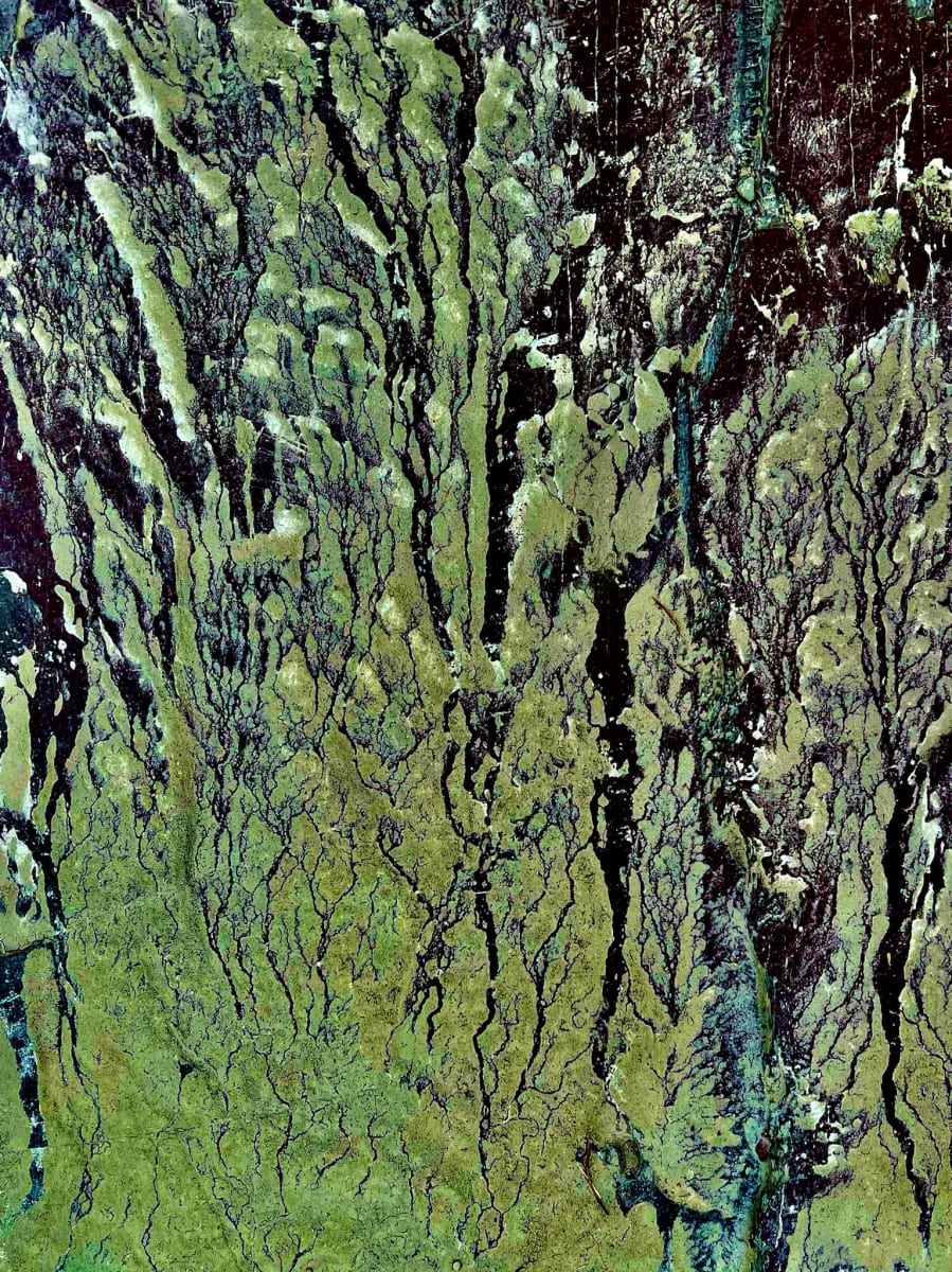 ABSTRACT 15  Image: AUGUST 9, 2022