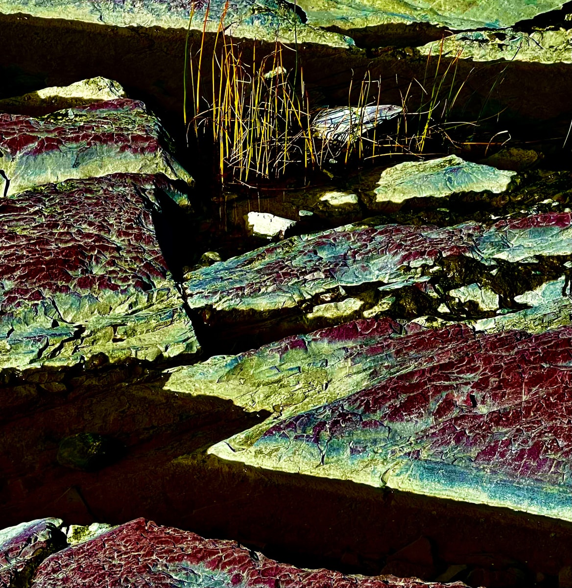 Paysage imaginaire II (Imaginary Landscape II)  Image: September 23, 2022