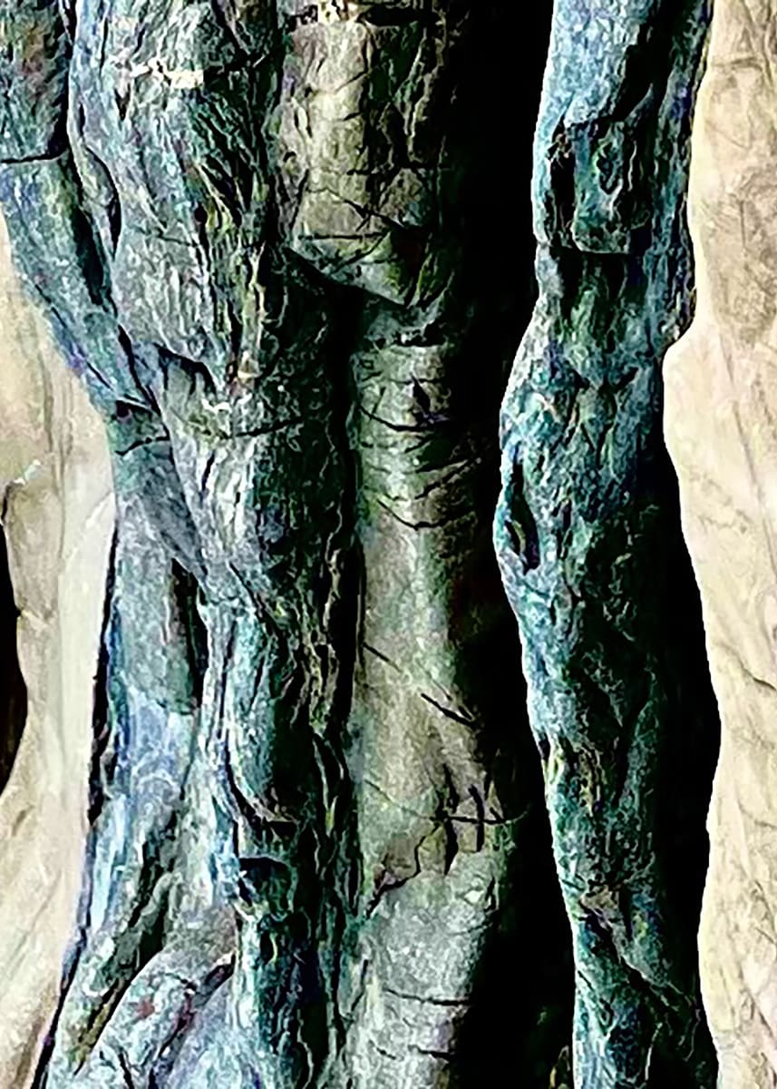 COLORED CURVES (Courbes colorées/La Femme) 