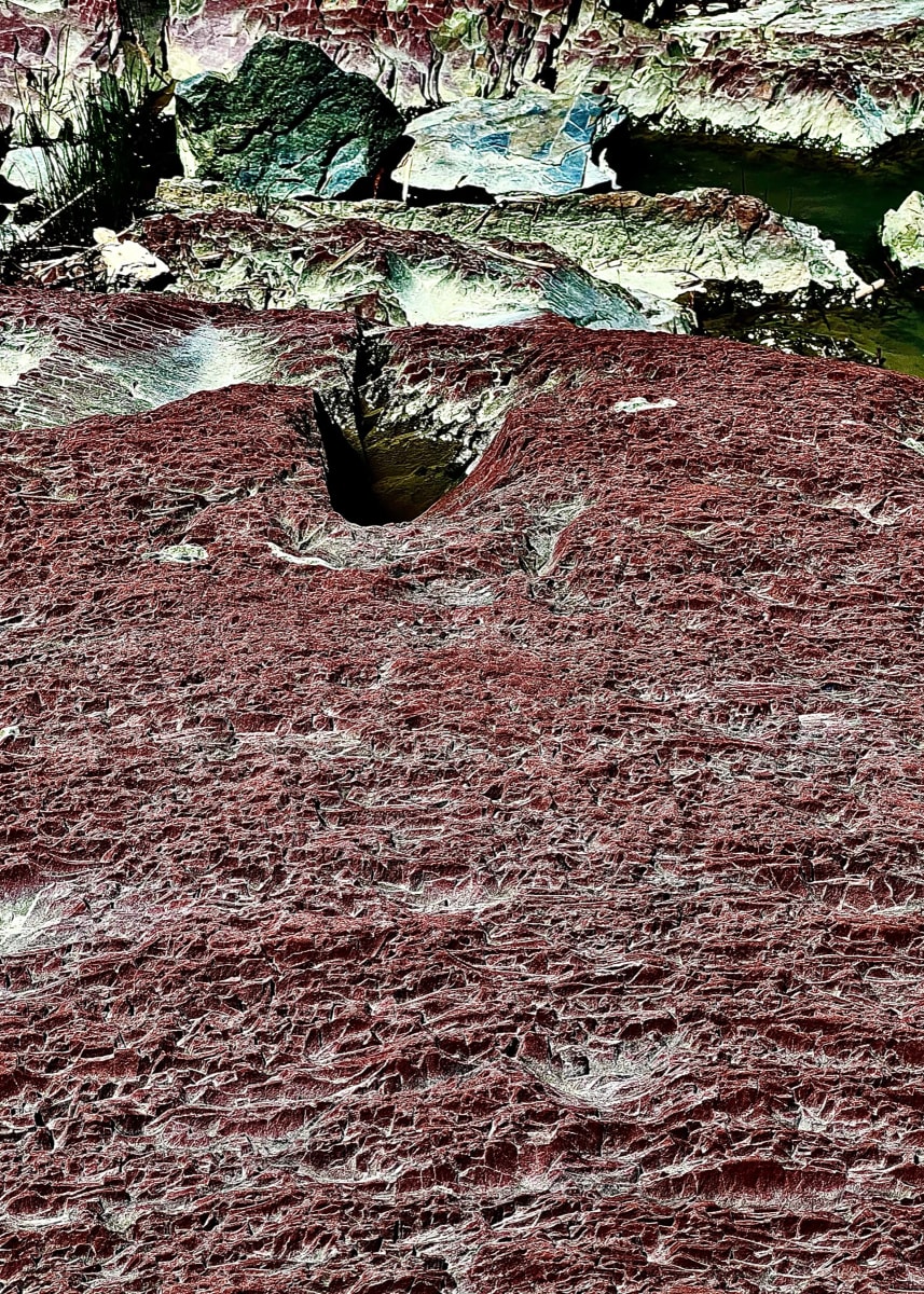 LIFE ON EARTH (La vie sur terre) by GAGNE  Image: June 1, 2022