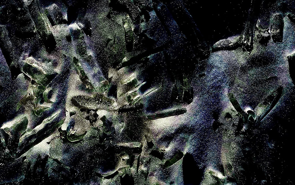 FOSSILS, Image 1.