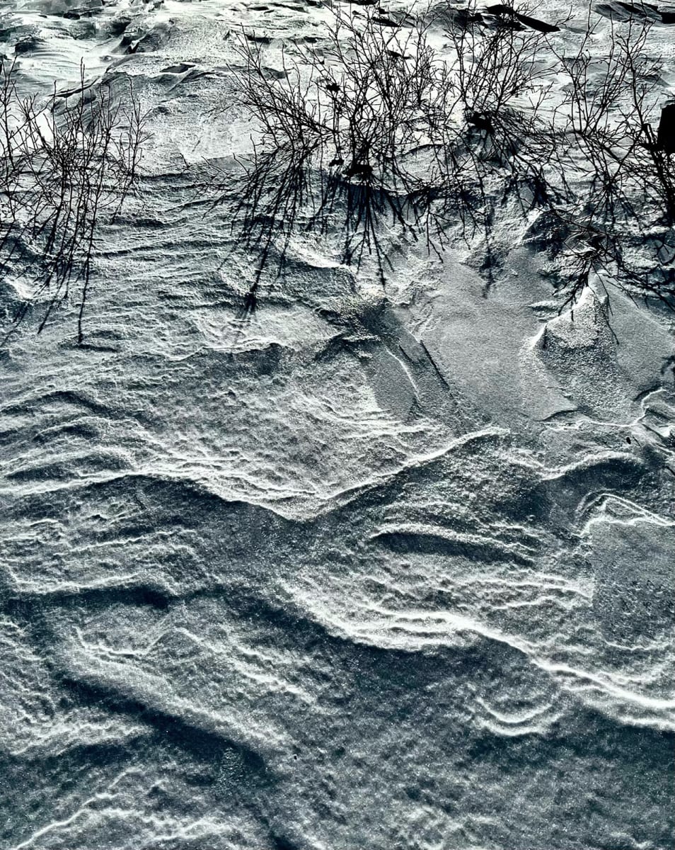 Snow Field, Image 1.