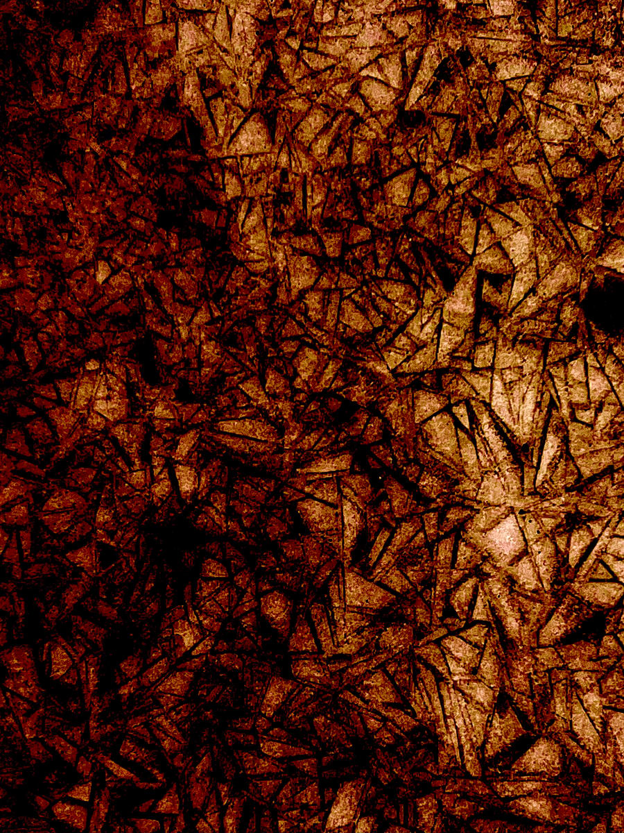 AEN Winter 2024 _ 012 by GAGNE 