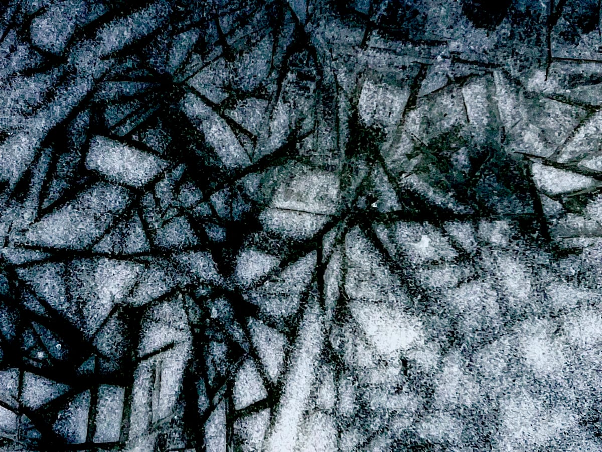 AEN Winter 2024 _ 3 by GAGNE 