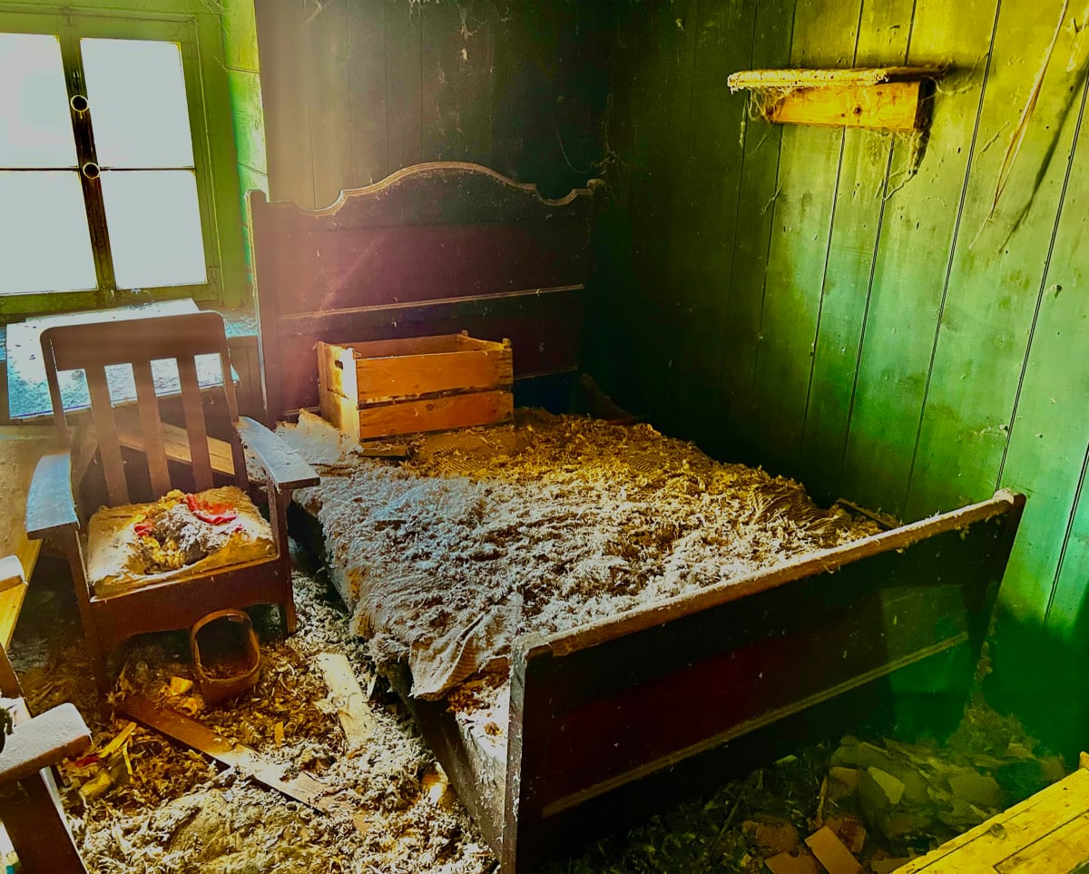 Bed  Image: May 10, 2022