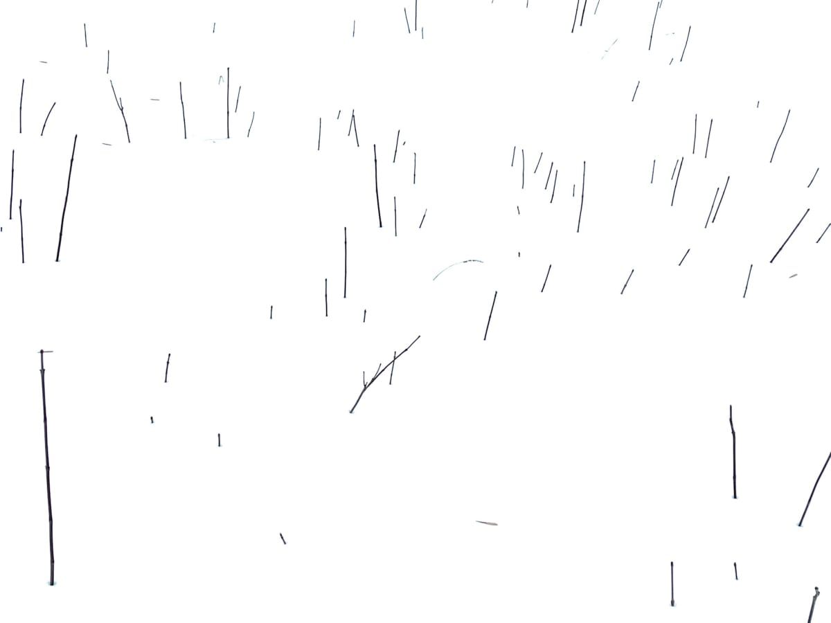 Minimalisme hivernal no 6 by GAGNE  Image: Jan. 25, 2026