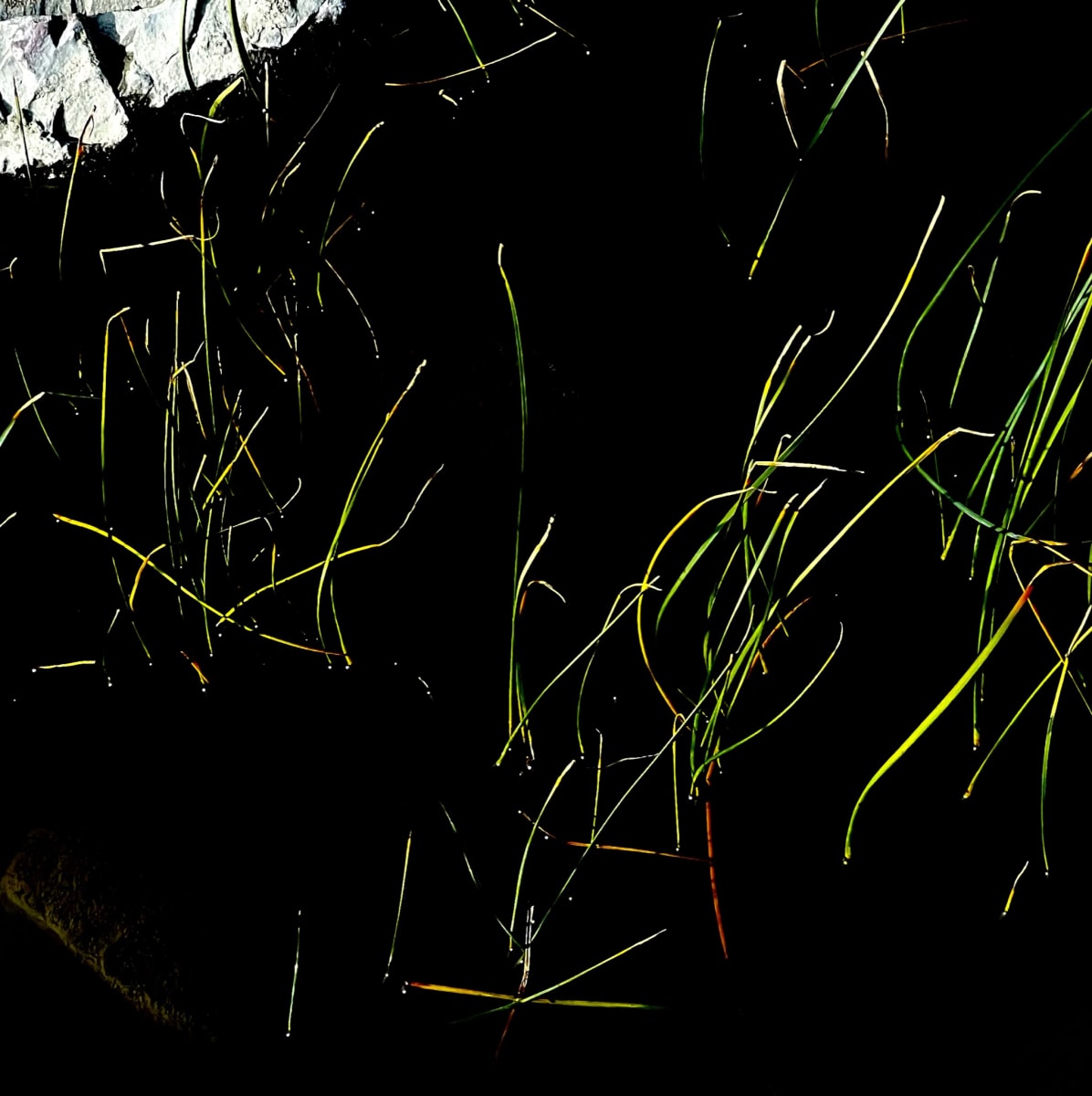 Paysage imaginaire V  Image: September 17, 2022