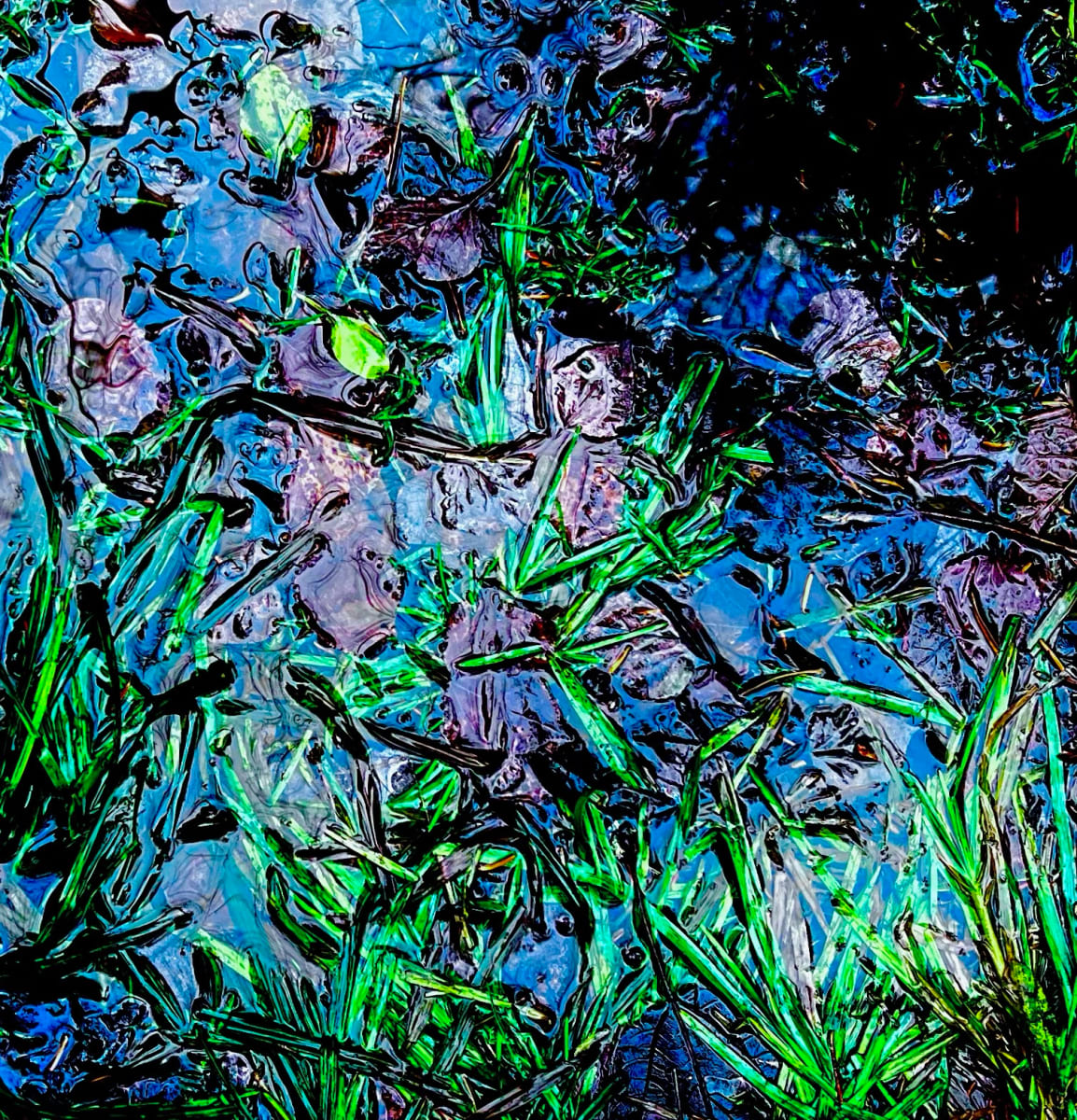 Poissons des chenaux (Marsh Fish) by GAGNE  Image: Dec. 7, 2022