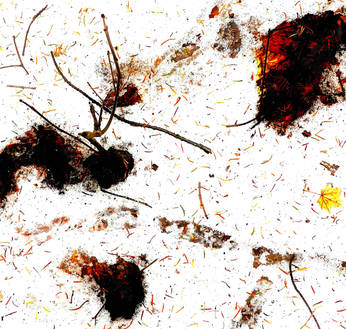Saison Automne/Hiver by GAGNE, Image 1.